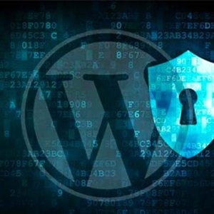 Why Should Use WordPress