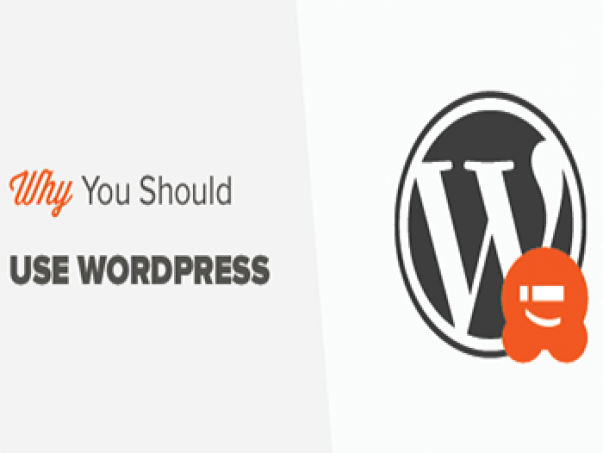 why wordpress