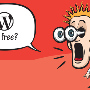 Why Should Use WordPress